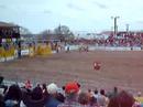 BullRide1