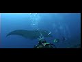 Taucher@Net -  Mantas bei Paradise Island am 10.12.06,unterwegs mit dem Safariboot MV Aisha.Näher geht nicht, hat mich buchstäblich unter sich begraben. Gefilmt von Thomas Tschöpe