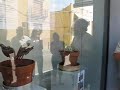 Espai Garum Pep Salsetes 2