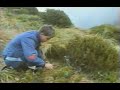 Fiordland NZ: Takahe Area Fiordland NZ: Takahe Area