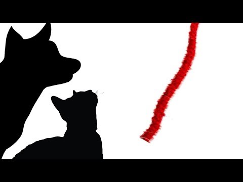 CAT GAMES - STRING TIME (FOR CATS ONLY)