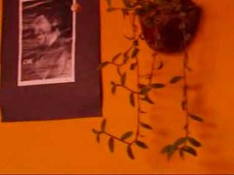 Vidéo sur Posada Mi Casa