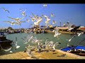 جنة جنة مغرب يا وطنا