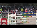For Joy Van't Zorgvliet