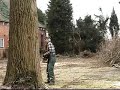 30 meter hoge boom omzagen 30 meter hoge boom omzagen