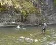 Ver Video