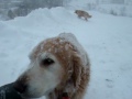 A noreaster arrives in St Johns