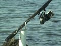 20 ft fishing rod surf