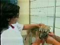 videos de MS Record 1ª Edição - Distribuição de coleiras para cães