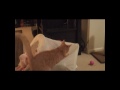 It's Kitty!