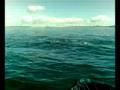 videos de dolphins waiheke, ak 20.09.08