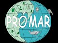 CLIP DO REEF CHECK ITAPARICA