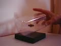 toupie volante demo levitron