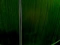 Fabricacion de filetes y cenefas.mp4