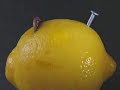 limon bateria funcional experimento