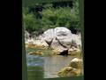 Travel - Skadar lake, Beach Ckla, Montenegro