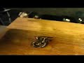 Pirografia con laser
