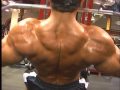 Bodybuilder-Armon-Ad