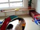 fio&lils_letzter_kindergartentag_1