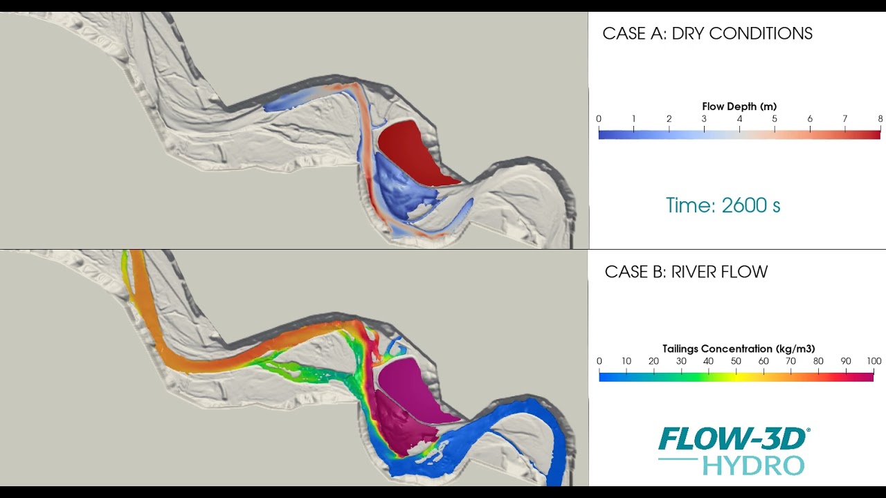 2D Tailings Comparison