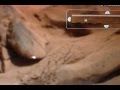 Mars 2012 lost pictures.avi