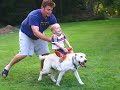 Riding Champ