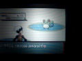 Marill shiny !! 15 266ème !