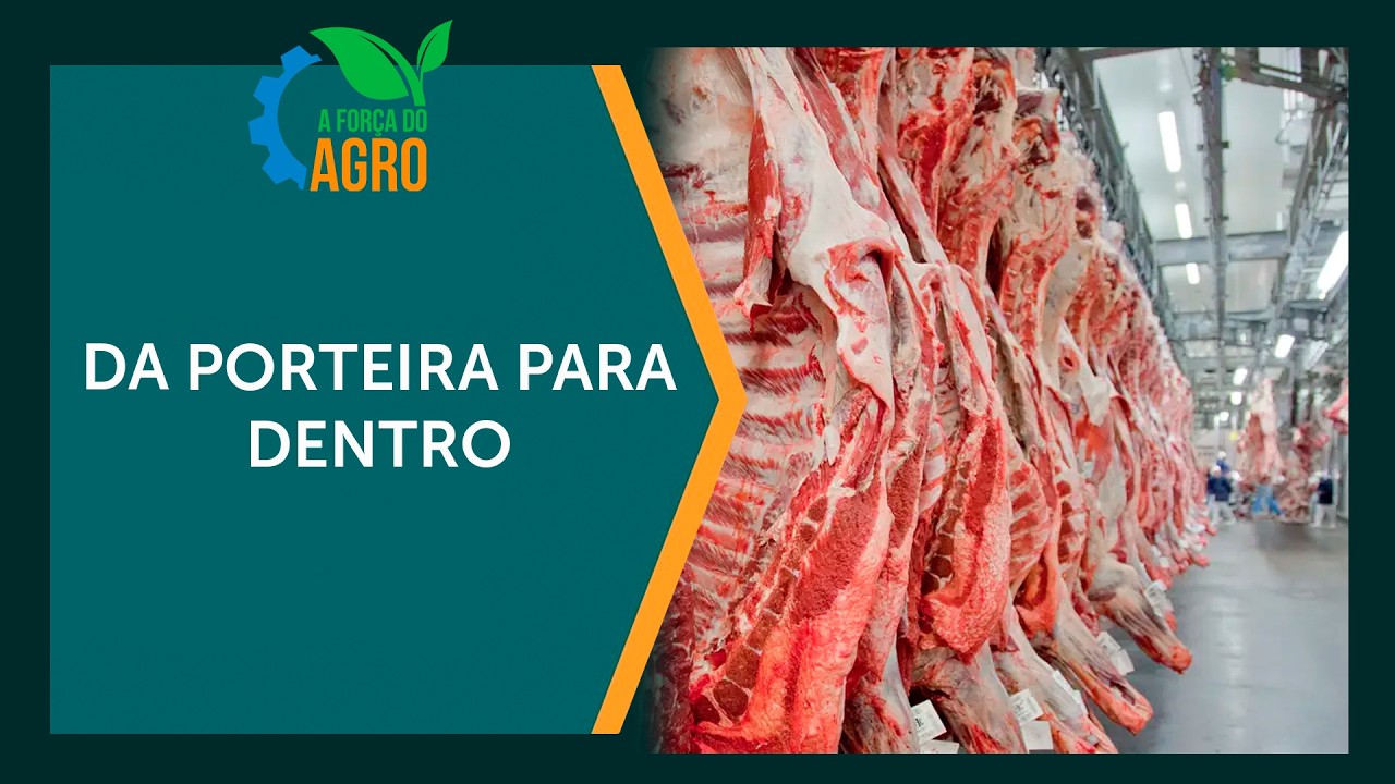 As consequências da nova decisão da União Europeia