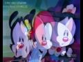 Los Animaniacs Doblaje Venezolano Actores de Doblaje en El Club de los Tigritos