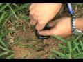 Replace Nozzle.wmv