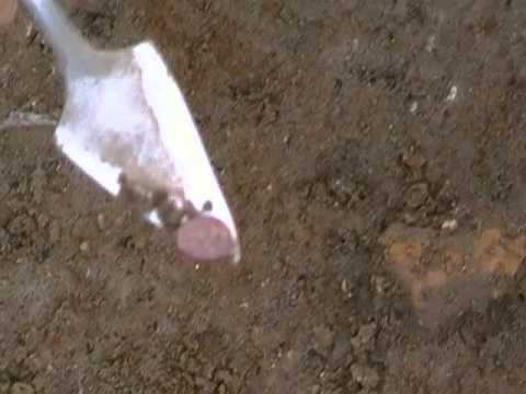 guarda il video guarda il video