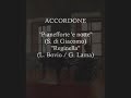 Accordone - 