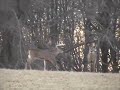 Outreach Outdoors - City Buck Outreach Outdoors - City Buck
