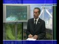 Intervista a Paolo Luigi Ottone