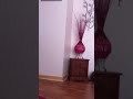 I liked a @YouTube video http://t.co/V6qLgUOY Angry celtic fan after hearts penalty