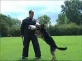 schutzhund wusv 2004 schutzhund wusv 2004