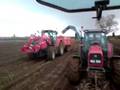 lifting potatoes in very wet conditions