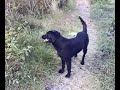 Dulcie and Luca - A Day at the Beach - Part 3