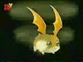 Patamon - Pegasusmon (Am�rica Latina)