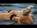 Finals Week Cuteness | Too Cute!