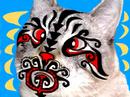 a fantasy i often have involving the maori haka made famous by the new zealand all blacks rugby team and our office cat sidney cross-eyed vicious.