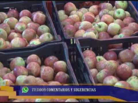 Manzanas en Villa Alcalá 