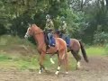 Voorbereiding Prinsjesdag van Cavalerie Ere-Escorte 2008