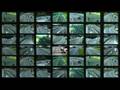 Global Warming and Broadband (Internet Innovation Alliance)
