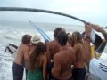 Ver Video