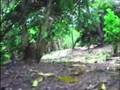 videos de O POVO E SEU LUGAR  - curta metragem  - PARTE 4