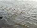 videos de Pat Wattam and Friends watch Mississippi River Crest in Baton Rouge