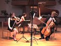 Animato Trio plays Mendelssohn Trio No. 1 in D Minor, Op. 49