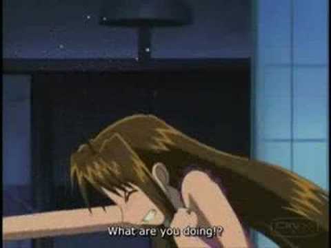 love hina
