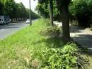 Relacja z Alei Unii Lubelskiej w ?odzi 2 Relacja z Alei Unii Lubelskiej w ?odzi 2
